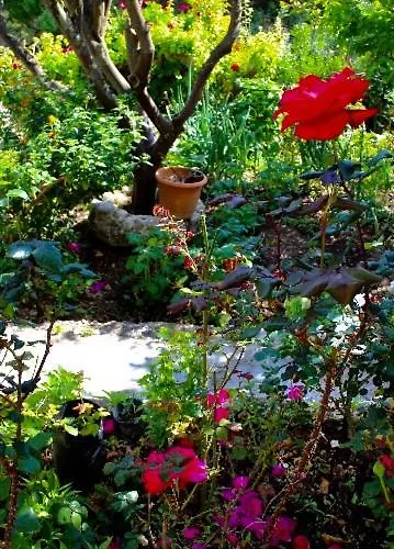 Dina's House 2 Holiday home